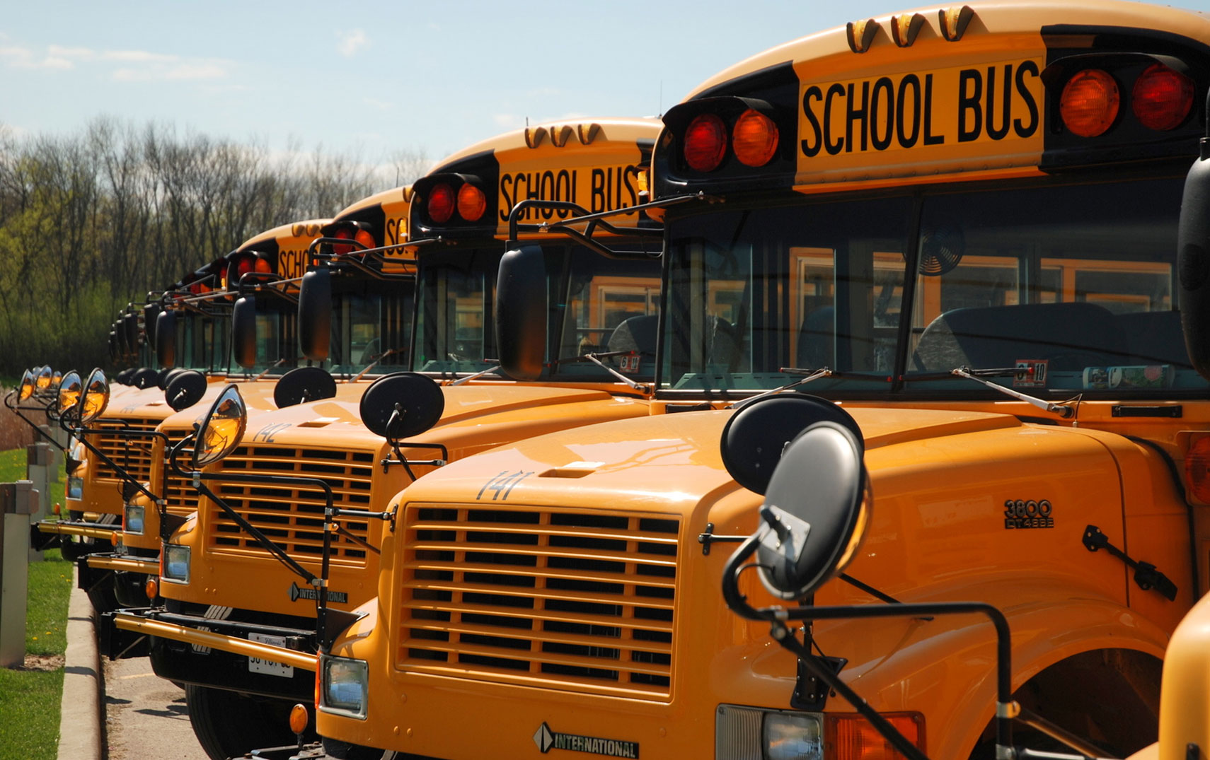 School buses