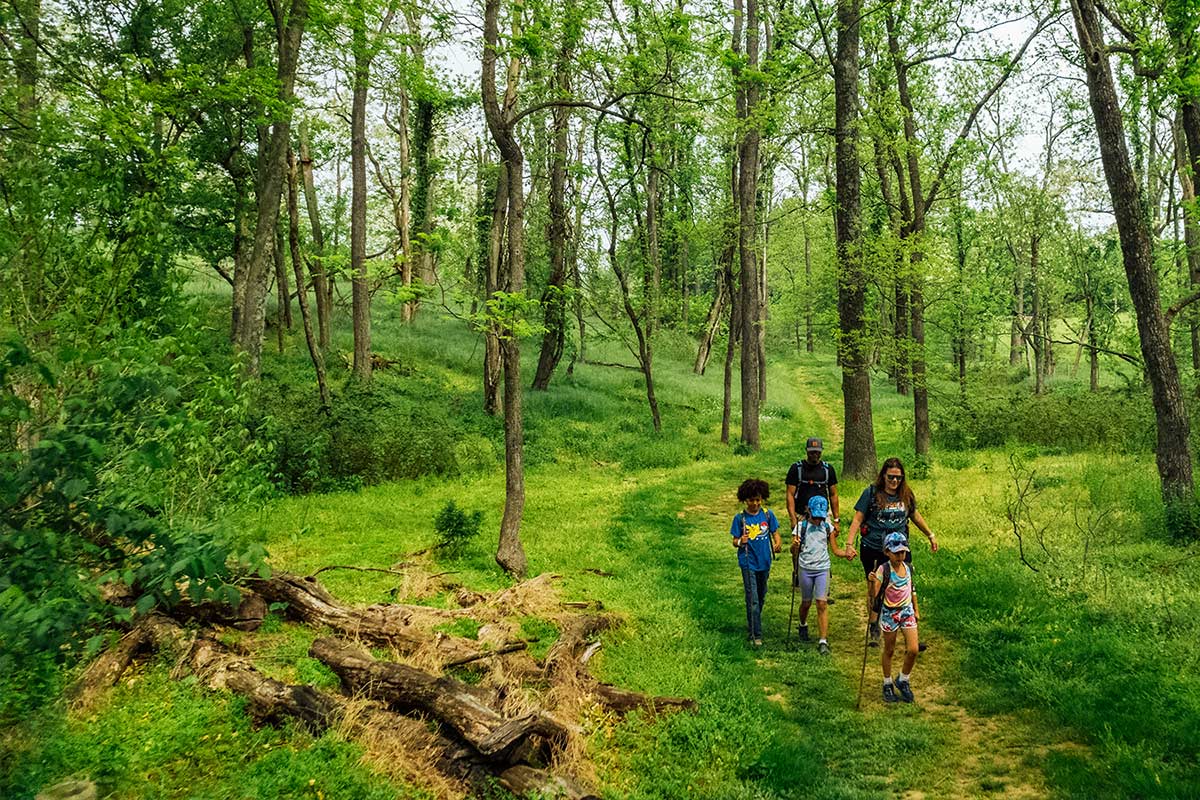 Family walking in park trail